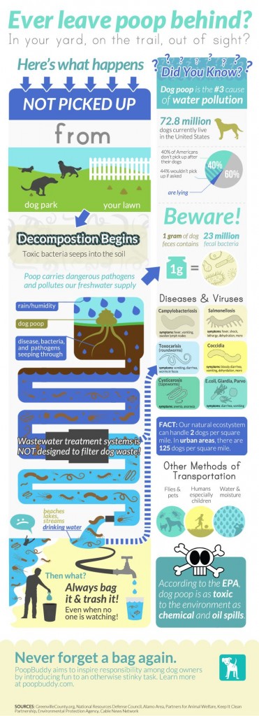 Facts and tips about pet and dog waste